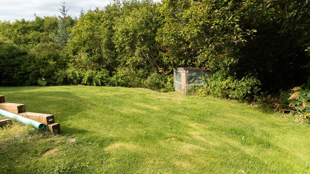 Photo of Outdoor in Homer