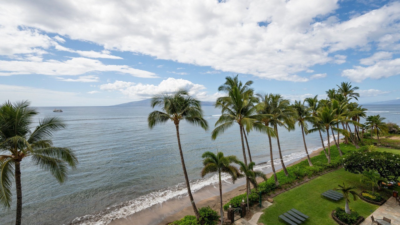 Photo of Others in Historic Lahaina Front Street
