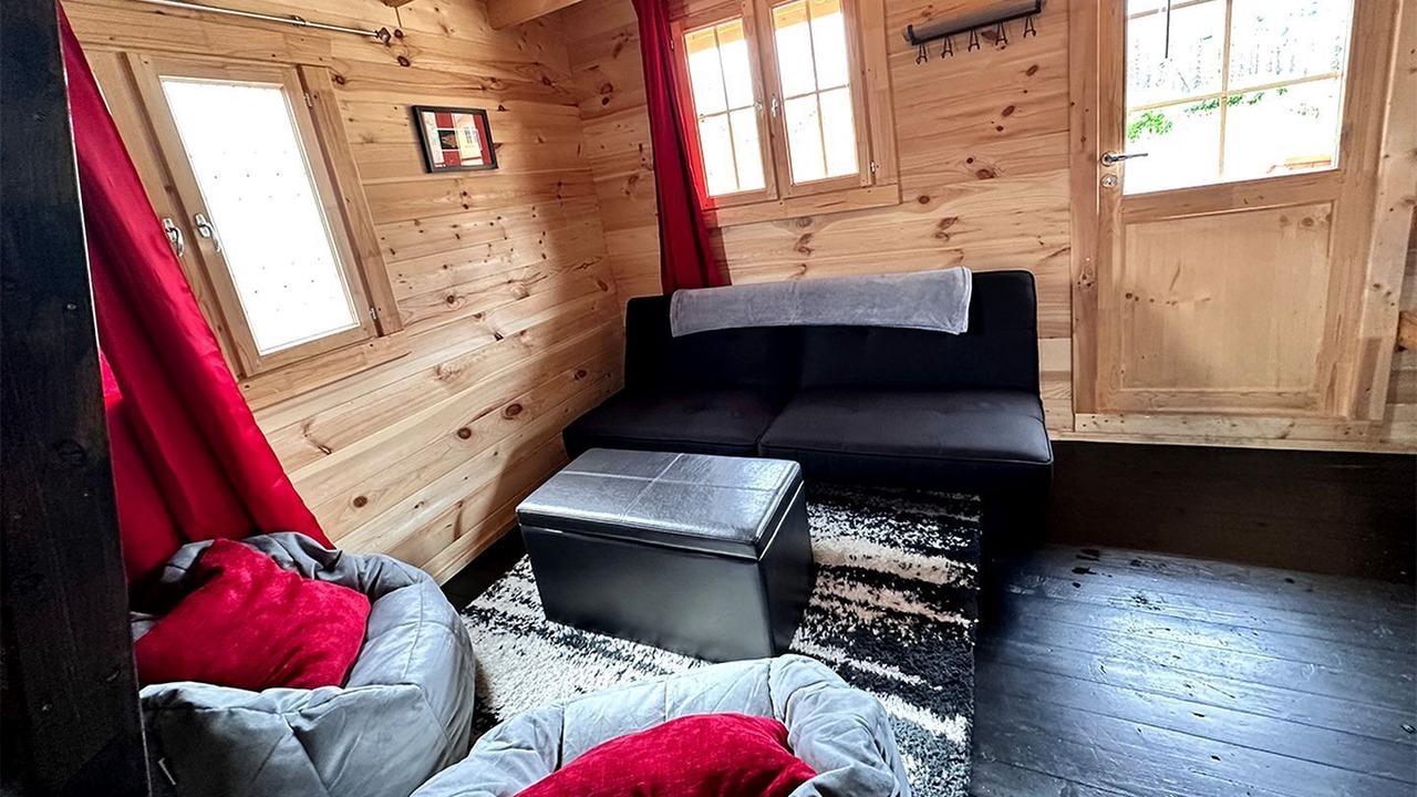 Photo of Livingroom in Denali