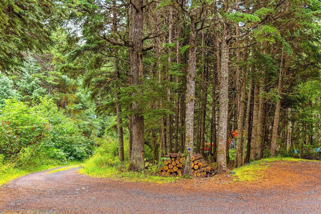 Photo of Others in Girdwood