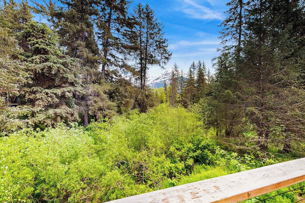 Photo of Outdoor in Girdwood