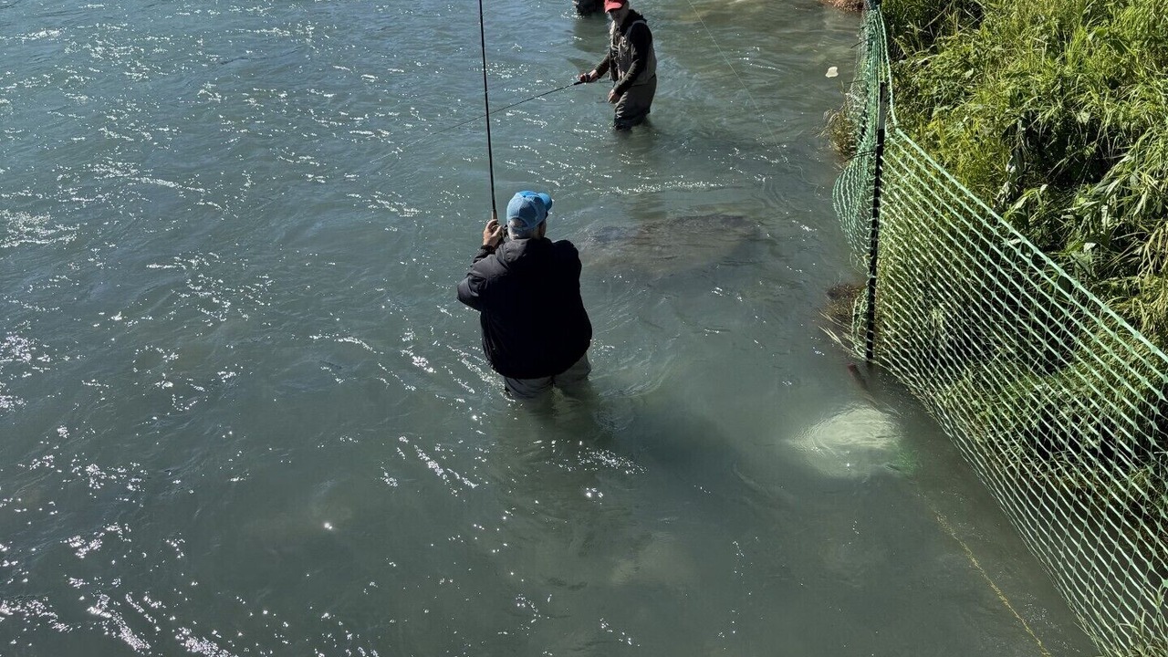 Photo of Others in Soldotna