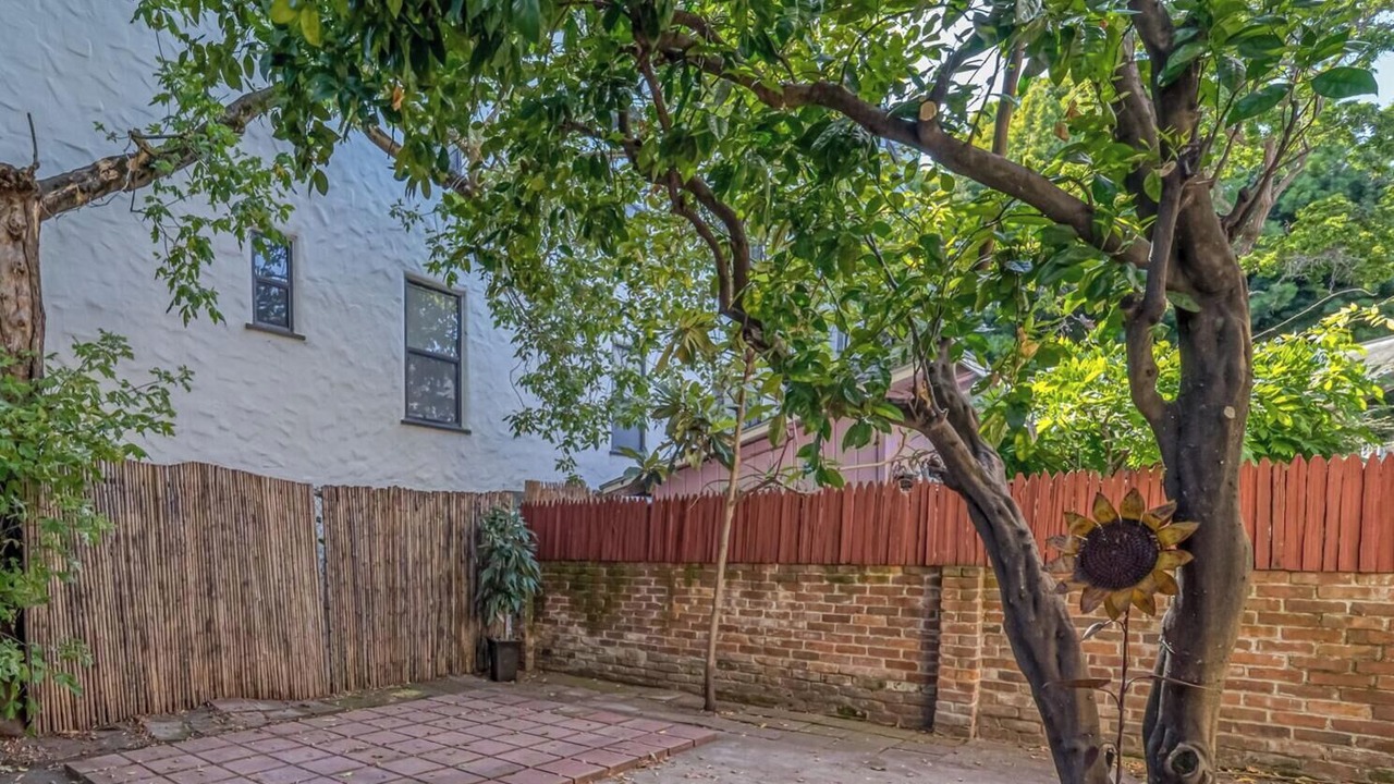 Photo of Outdoor in Alameda