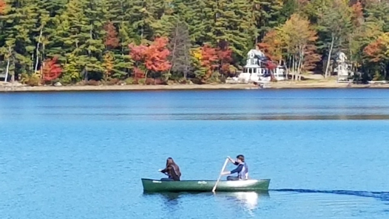Photo of Others in Dryden
