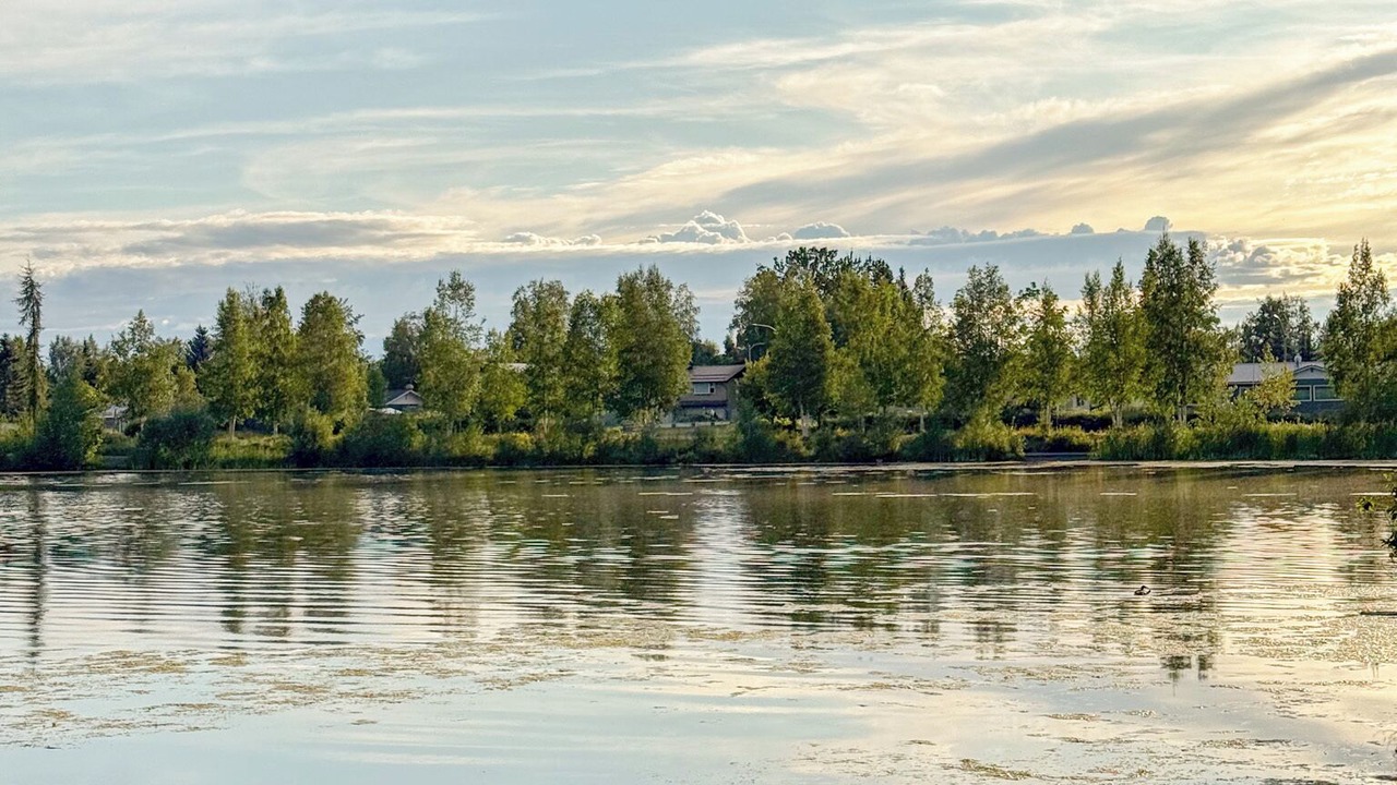 Photo of Others in Northeast Anchorage