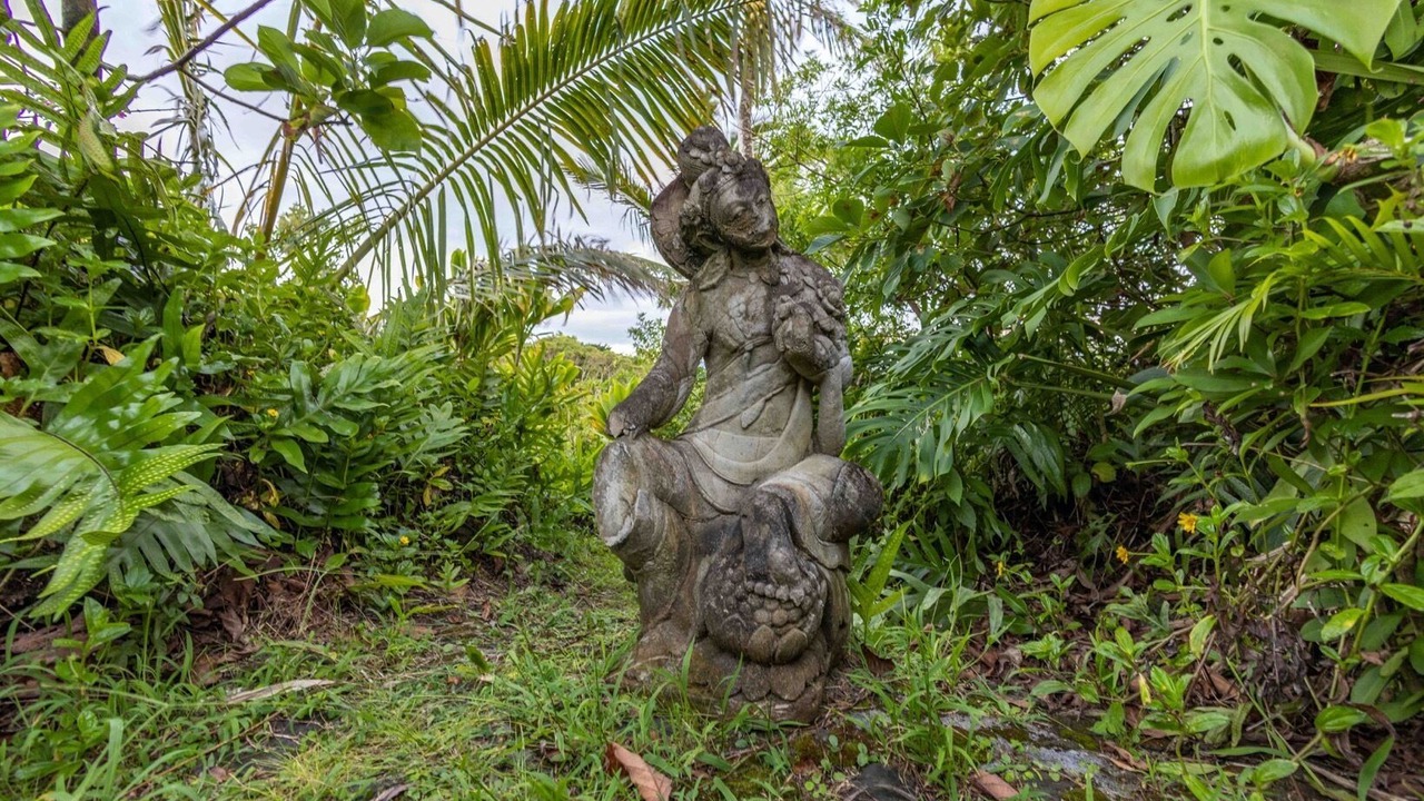 Photo of Outdoor in Haiku