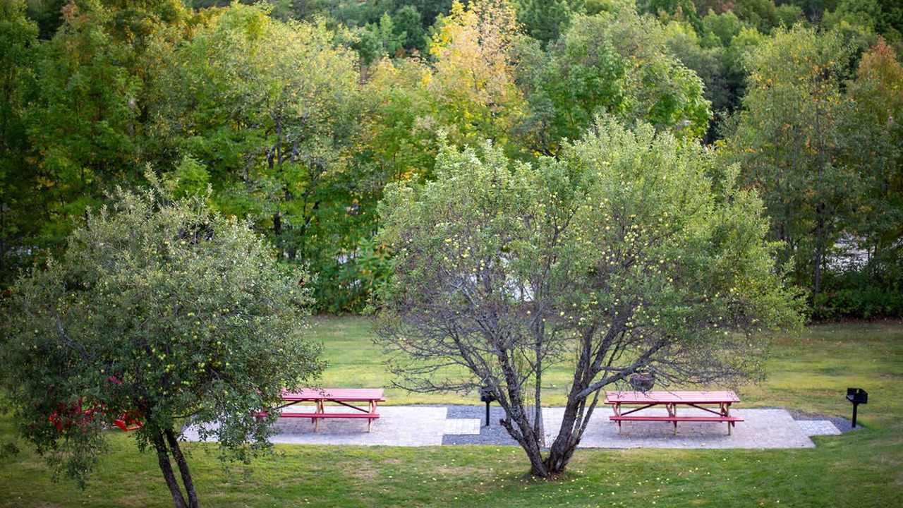Photo of Outdoor in The Forks