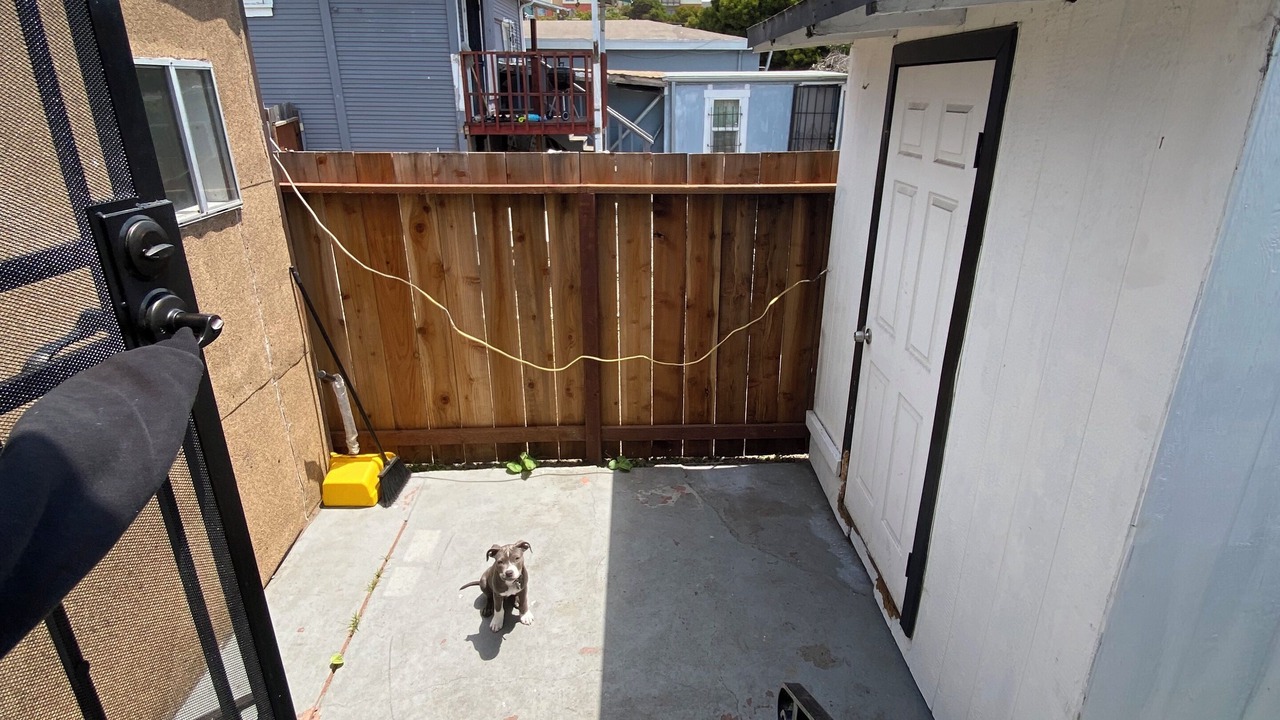 Photo of Outdoor in Belding Woods