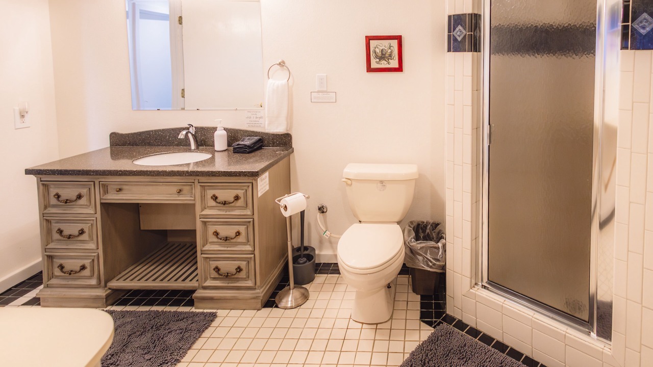 Photo of Bathroom in Homer