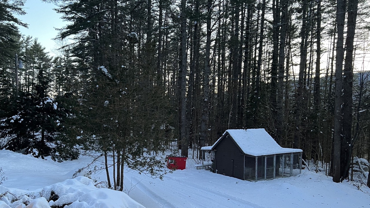 Photo of Others in Caratunk