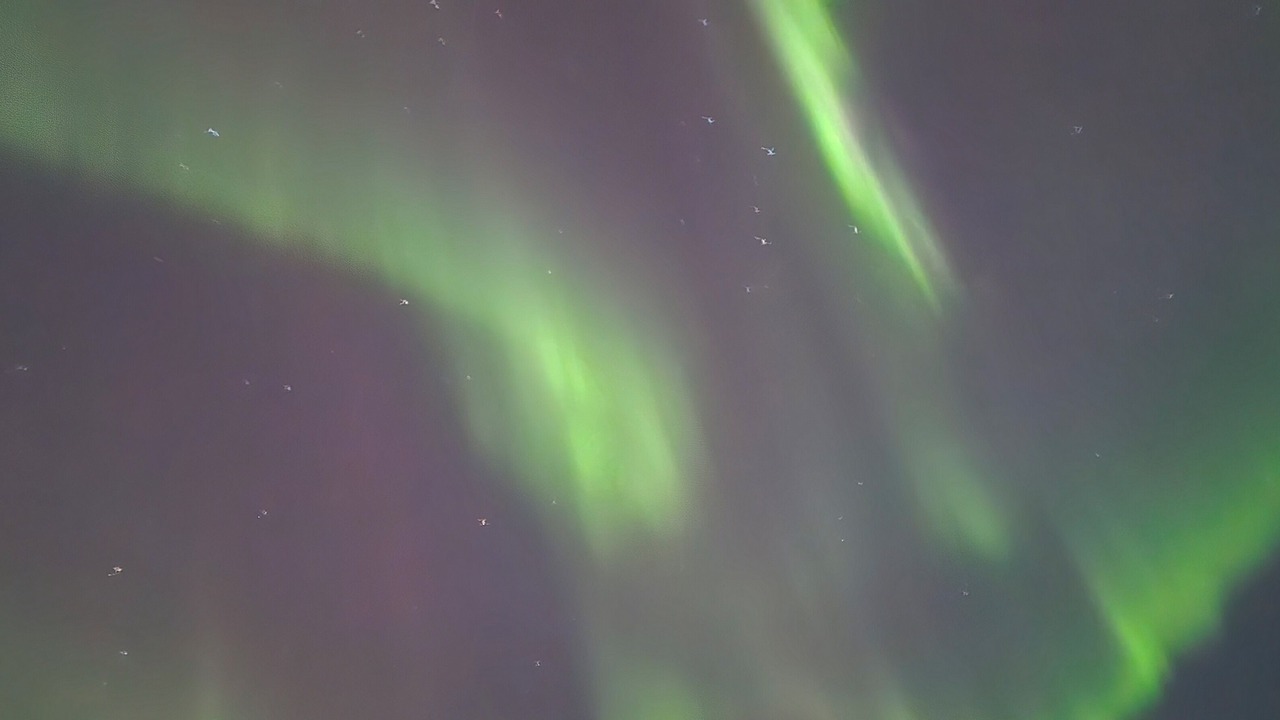 Photo of Others in Fairbanks