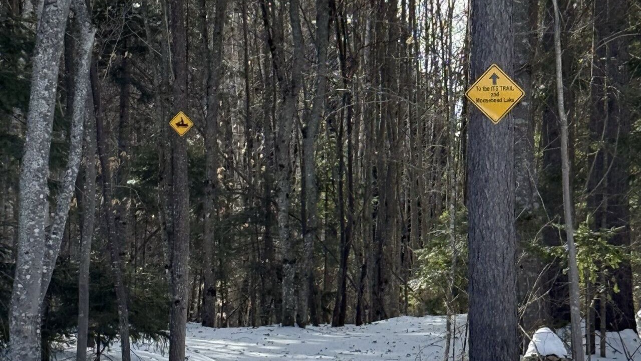Photo of Others in Greenville Junction