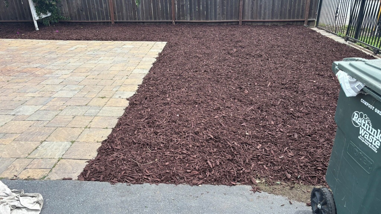 Photo of Outdoor in East Palo Alto