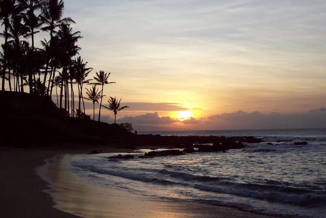 Photo of Others in Napili