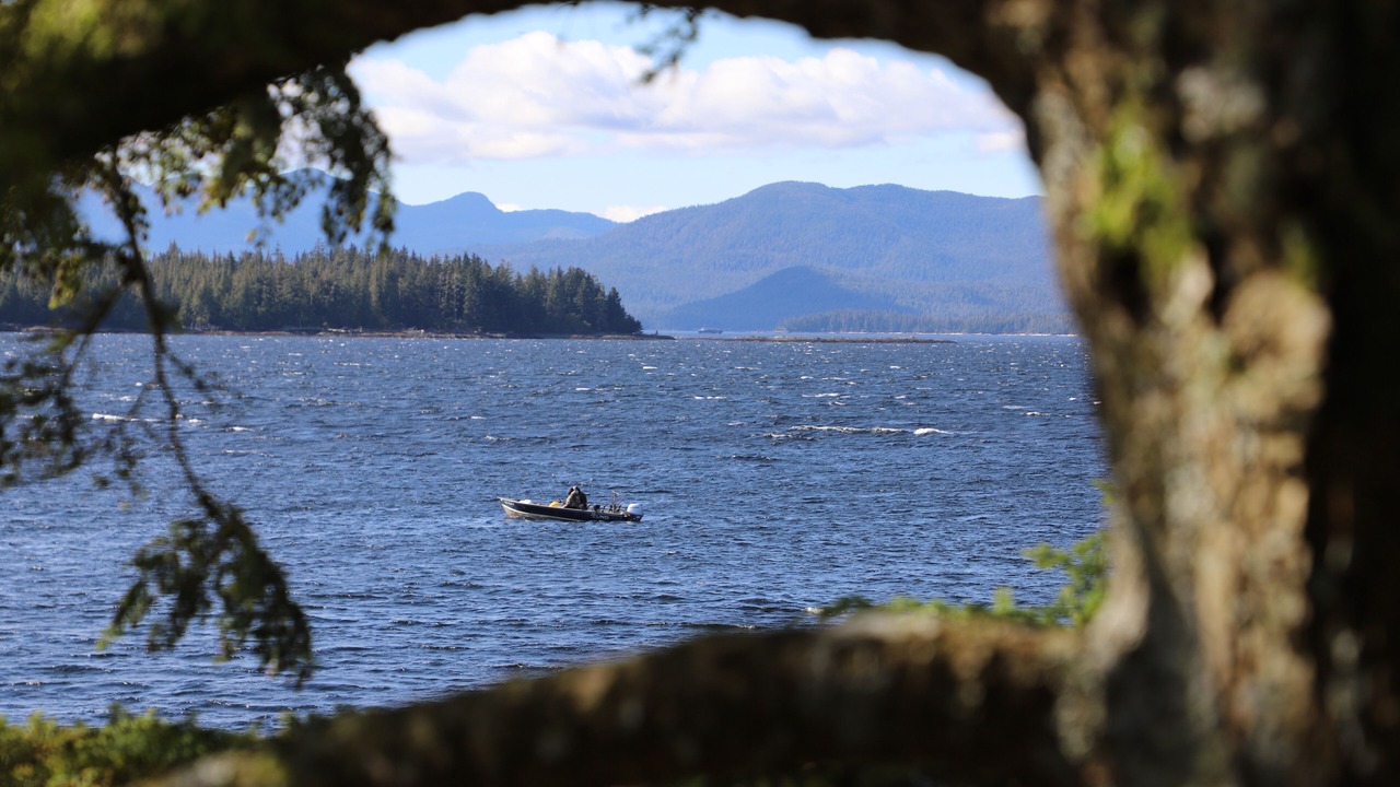 Photo of Others in Ketchikan