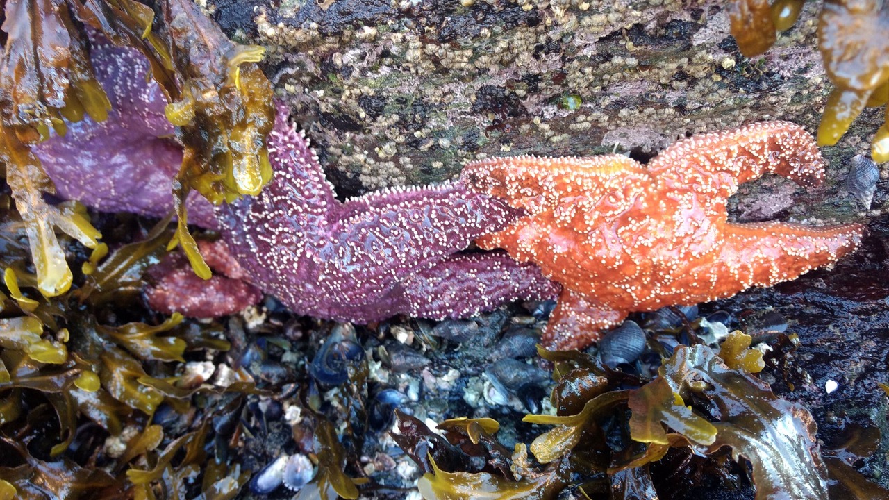 Photo of Others in Ketchikan
