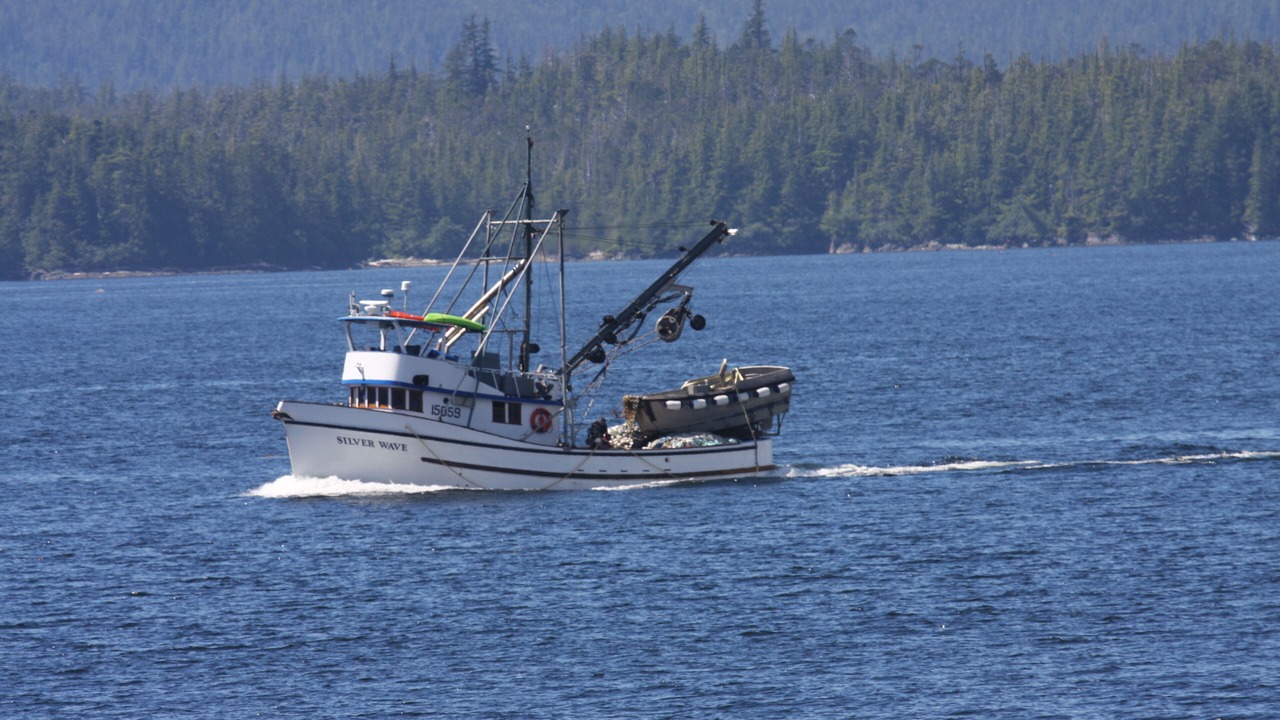 Photo of Others in Ketchikan