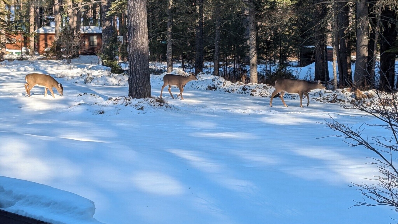 Photo of Others in Franklin County