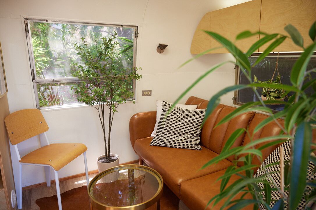 Photo of Livingroom in Westbrae