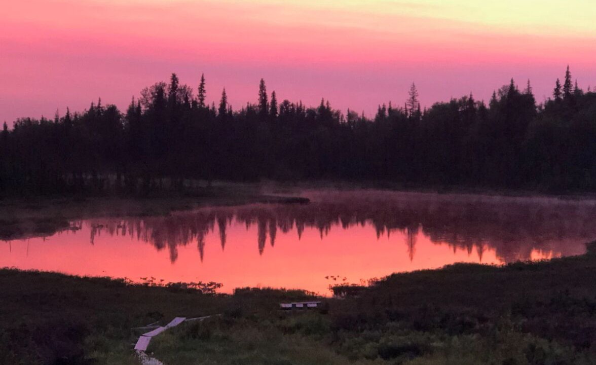 Photo of Outdoor in Cohoe