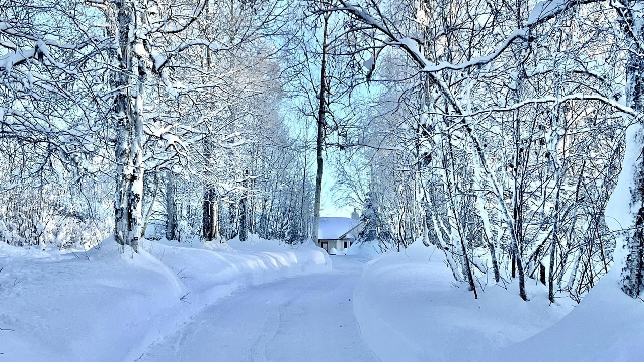 Photo of Others in Anchorage