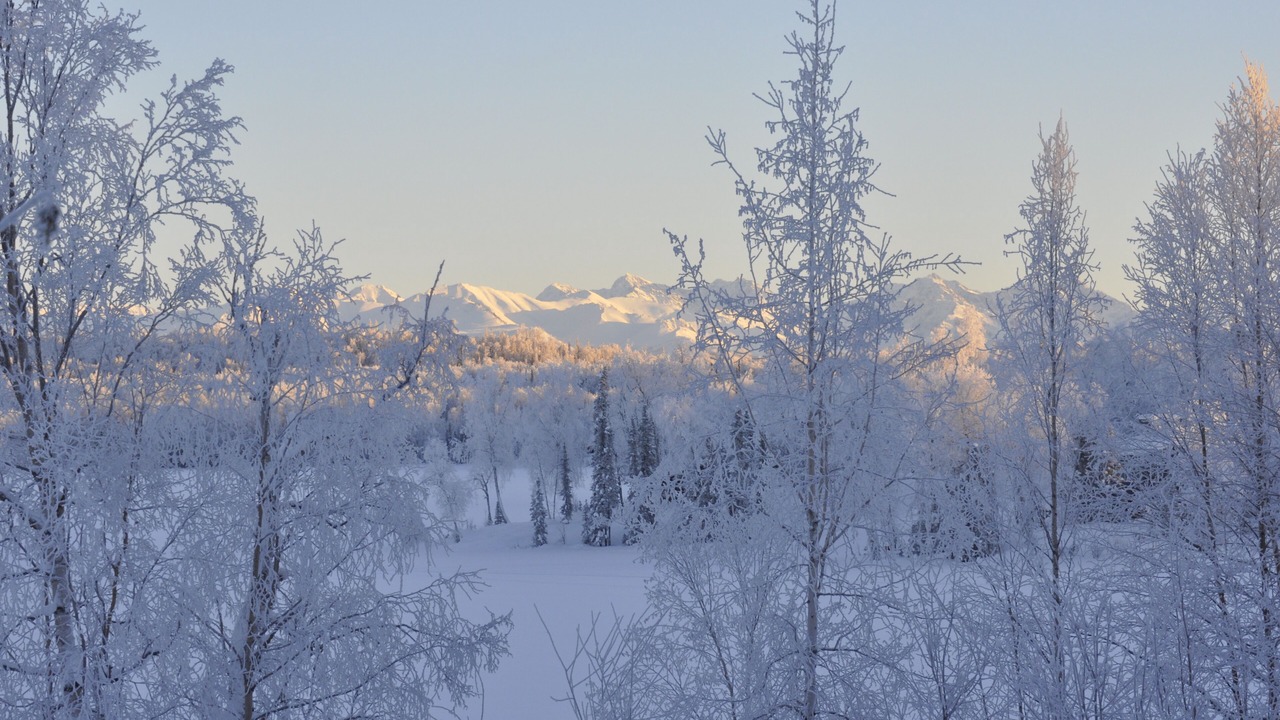 Photo of Outdoor in Anchorage