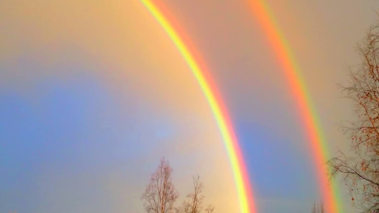 Photo of Others in Anchorage