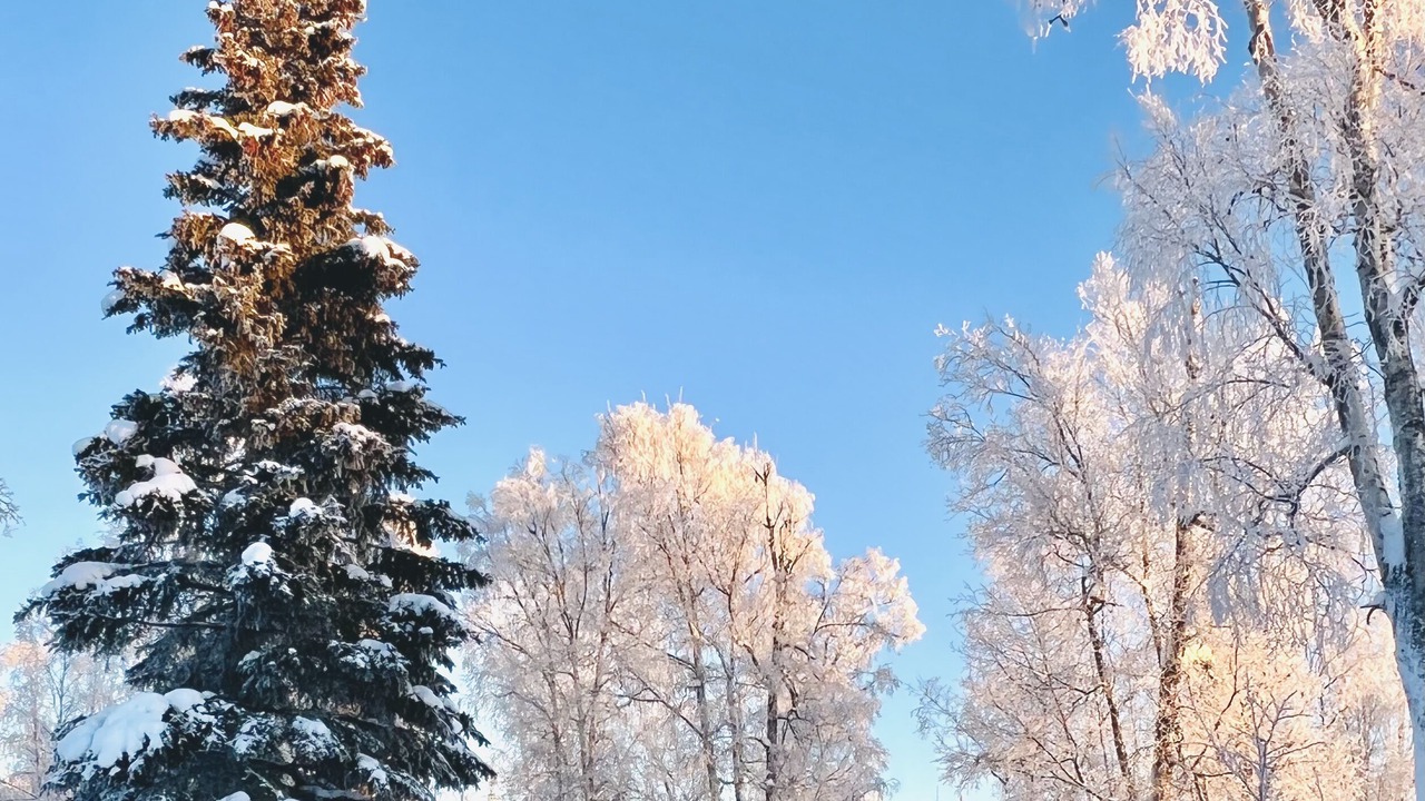 Photo of Outdoor in Anchorage
