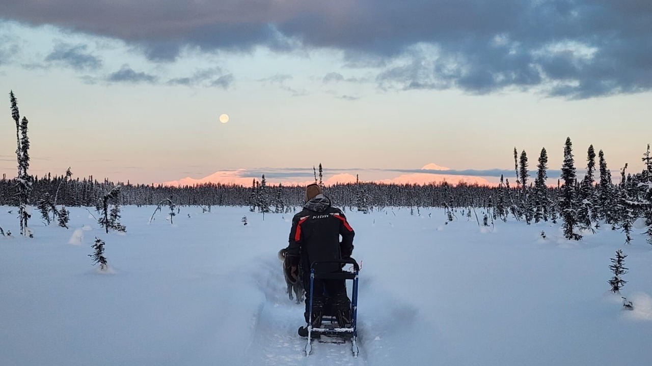 Photo of Others in Susitna North