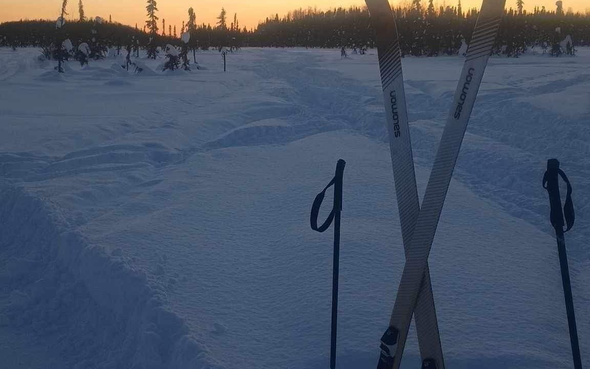 Photo of Others in Susitna North