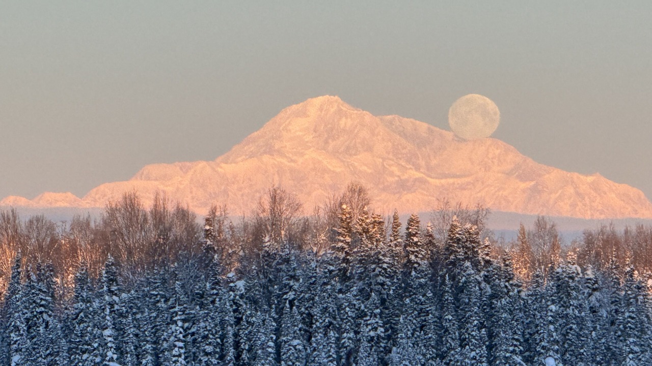 Photo of Bedroom in Susitna North
