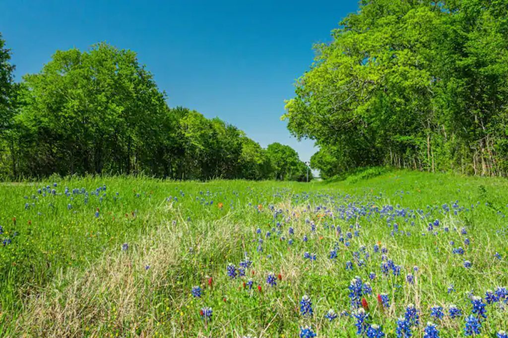 Photo of Outdoor in Oakwood