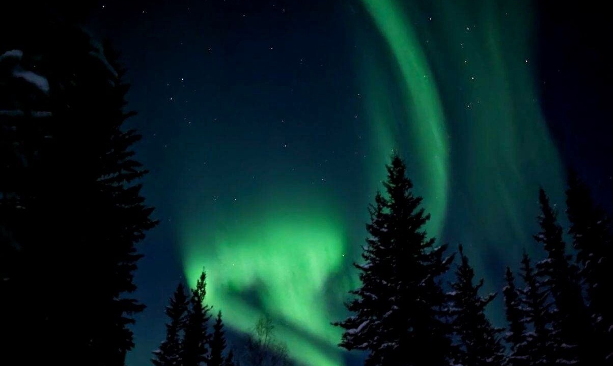 Photo of Others in Fairbanks