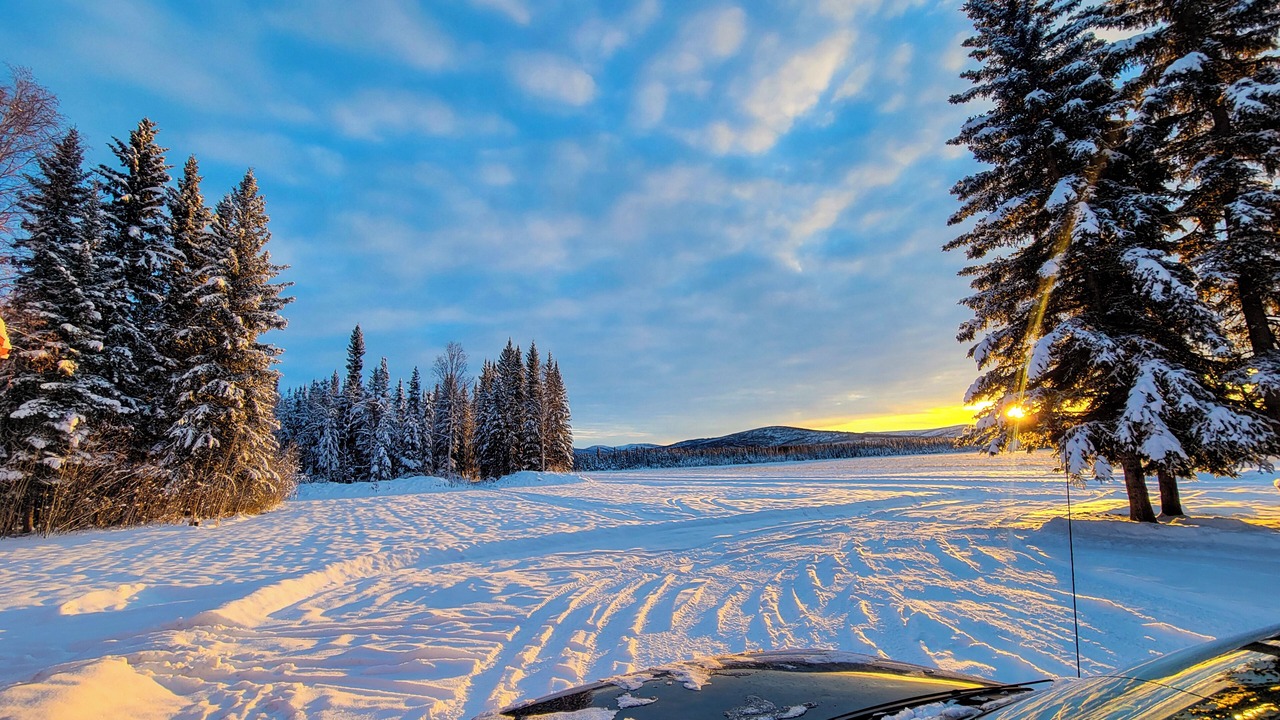 Photo of Others in Fairbanks
