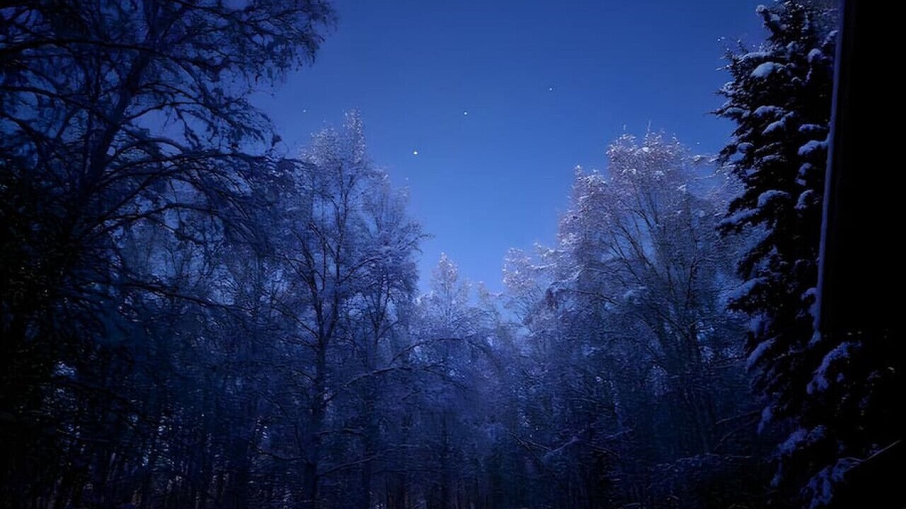 Photo of Others in Fairbanks