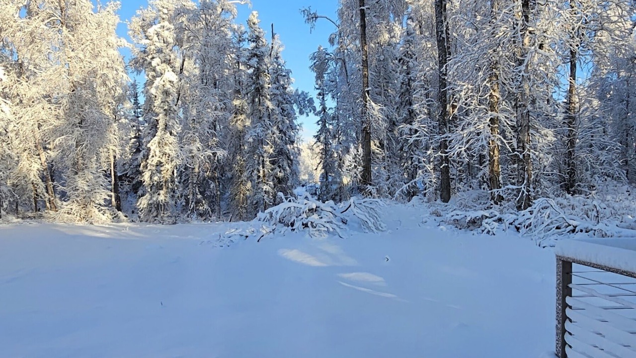 Photo of Others in Knik-Fairview