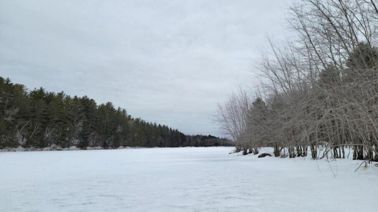 Photo of Others in North Penobscot