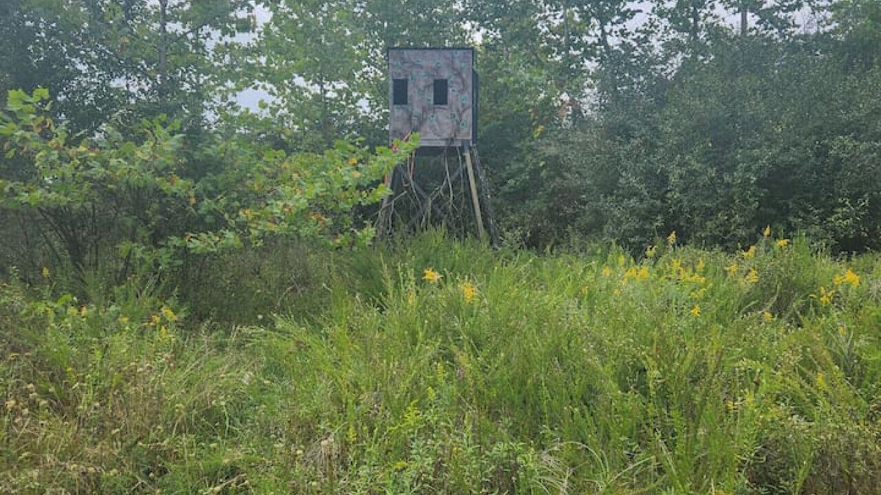 Photo of Others in Carbon Hill