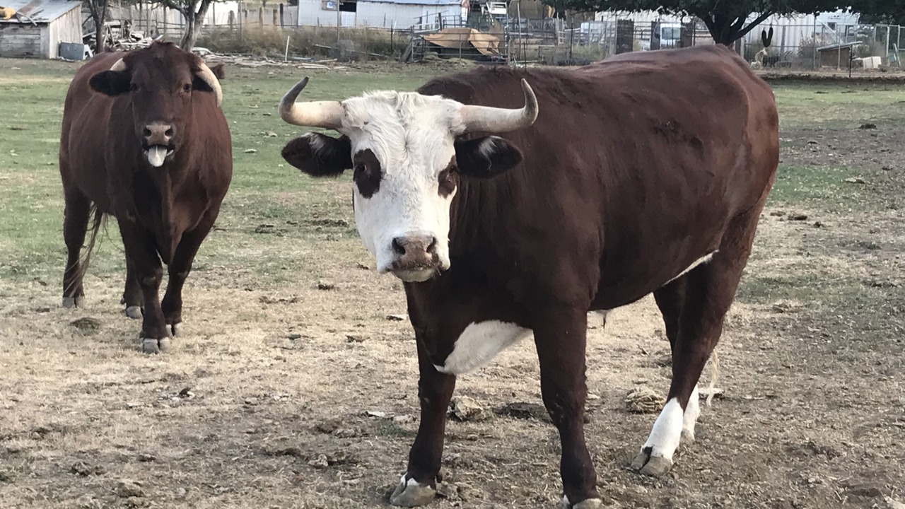 Photo of Others in Escalante