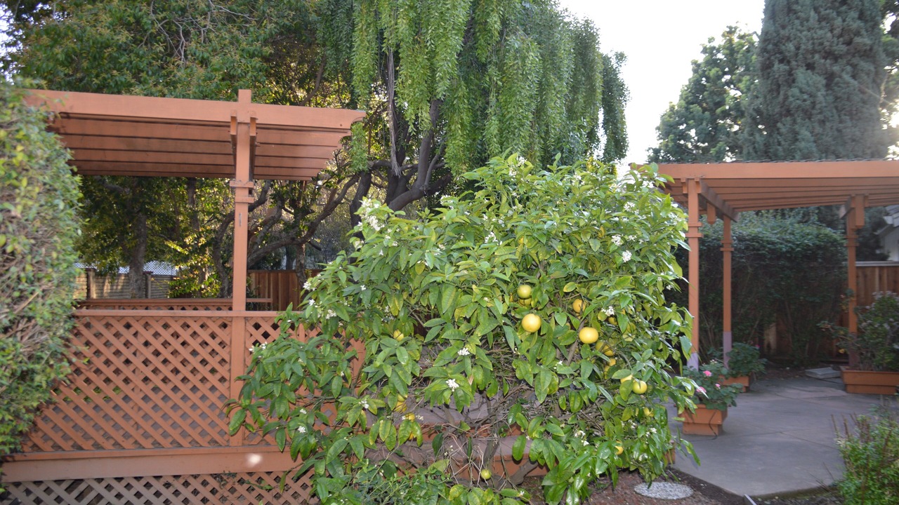 Photo of Outdoor in Fremont