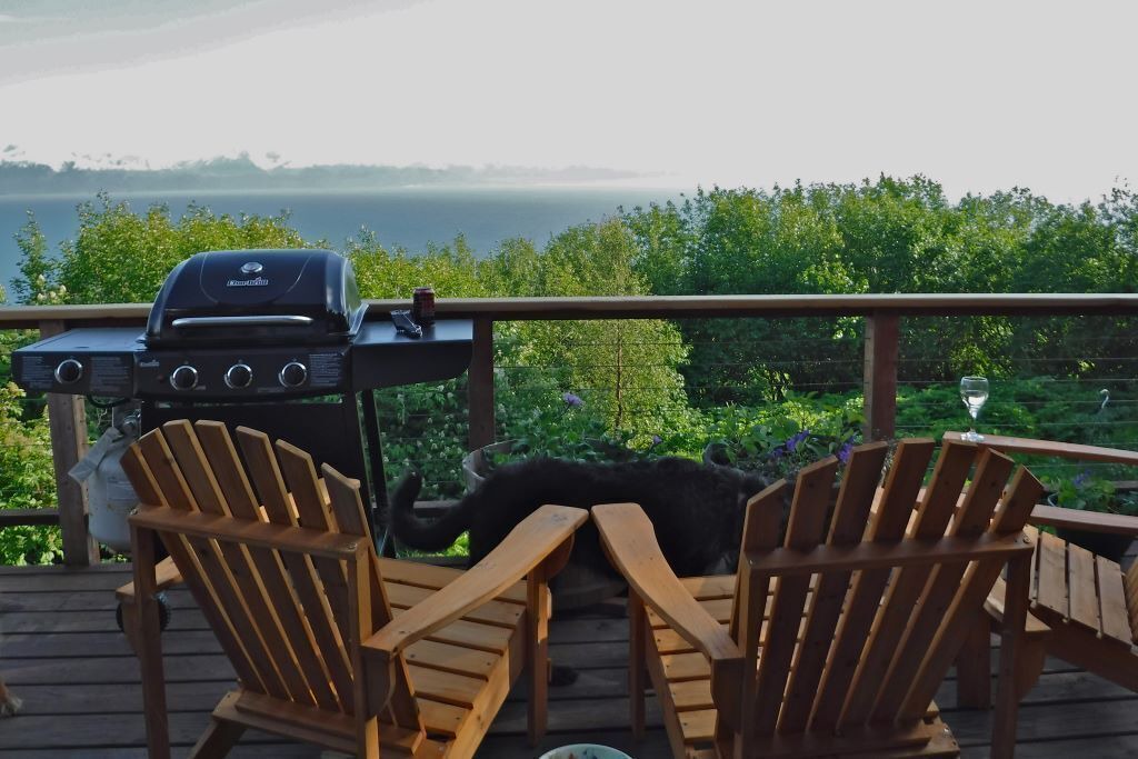 Photo of Outdoor in Homer