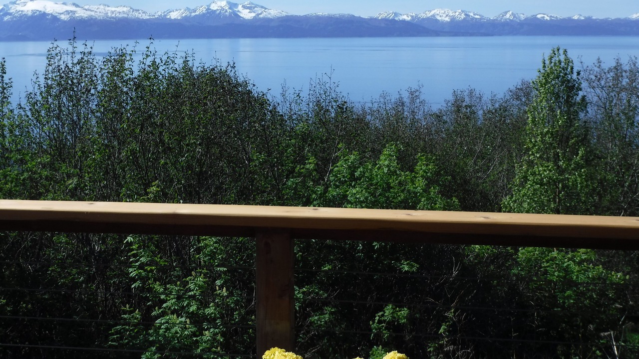 Photo of Others in Homer