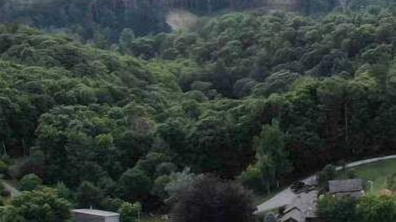 Photo of Outdoor in Altamont