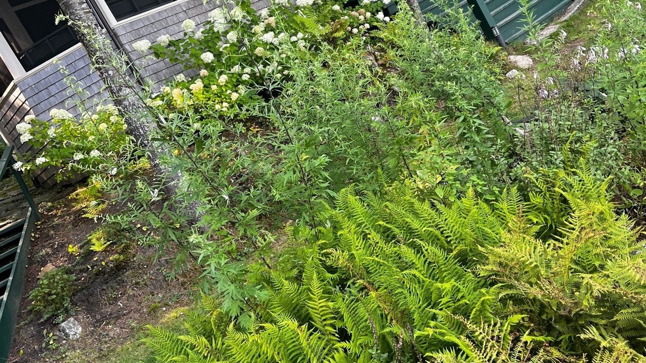 Photo of Outdoor in Orland
