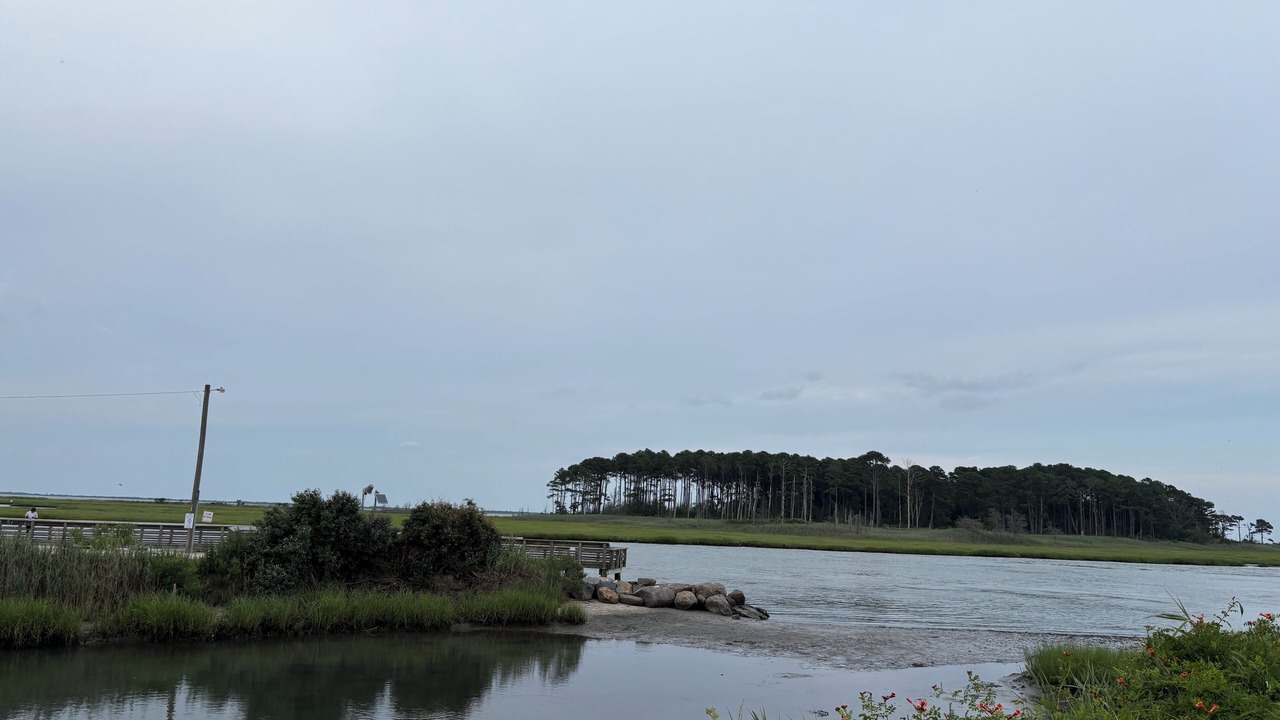 Photo of Others in Rehoboth Beach