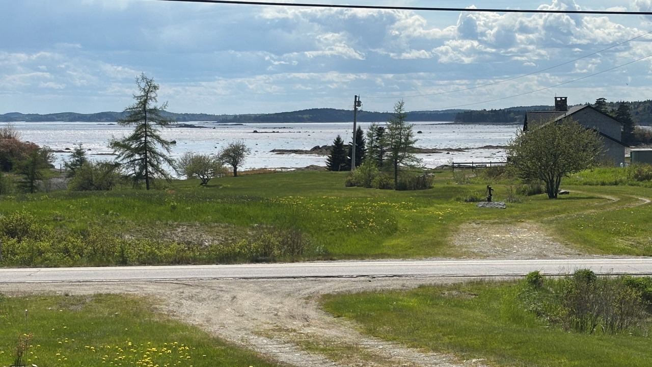 Photo of Others in Cutler