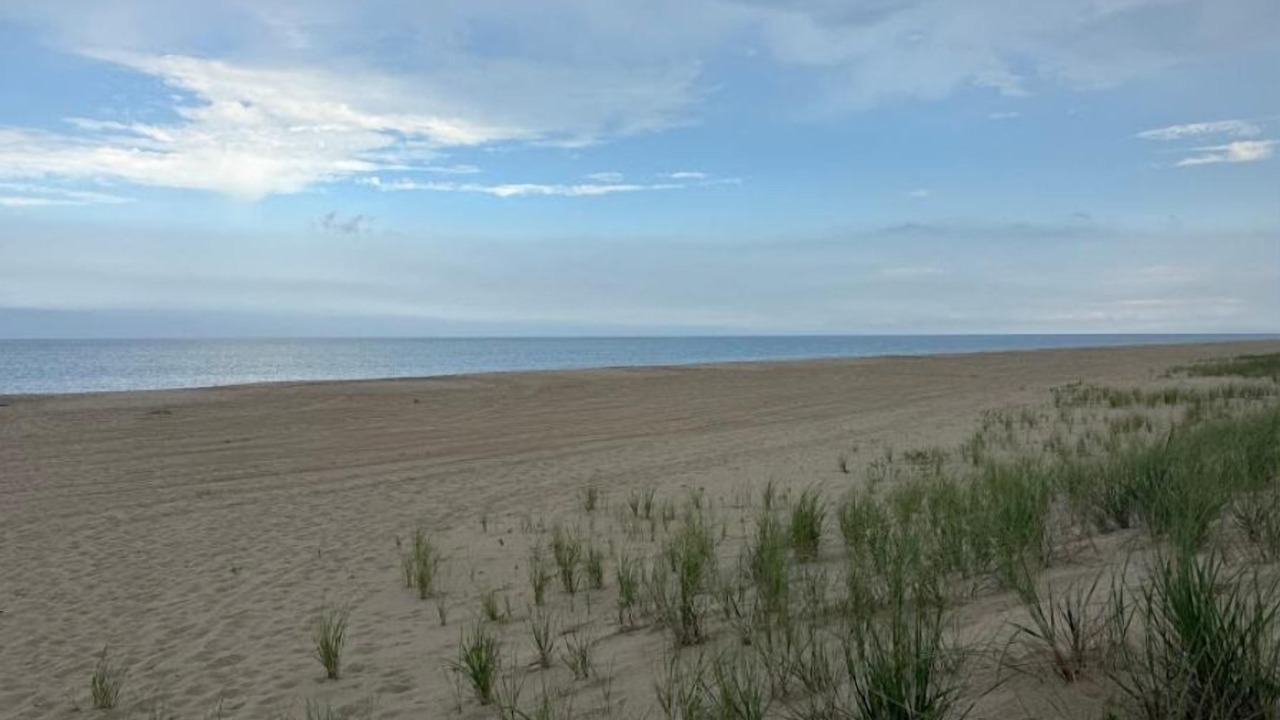 Photo of Others in Fenwick Island