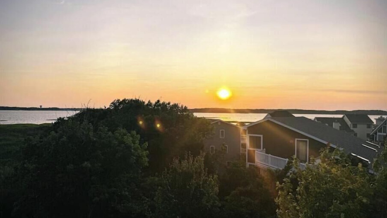 Photo of Others in Fenwick Island