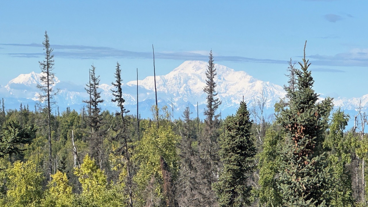 Photo of Others in Susitna North