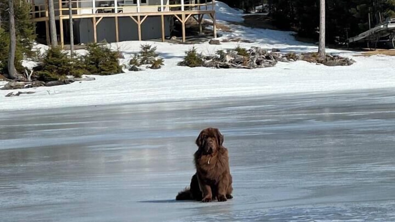 Photo of Outdoor in Northwest Piscataquis